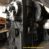 500 TON NATIONAL FORGING PRESS NE IN 1964 (3015)
